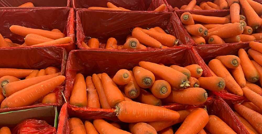 В Минсельхозе объяснили запрет на экспорт моркови рекордным спросом за рубежом