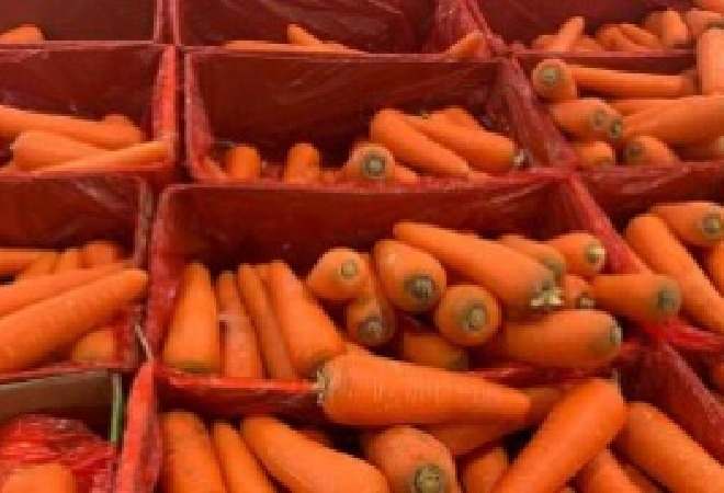 Ауыл шаруашылығы министрлігі сәбіз экспортына тыйым салуды шетелде рекордтық сұраныспен түсіндірді
