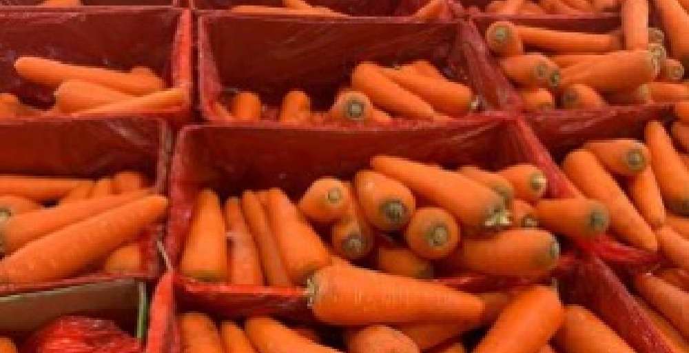 Ауыл шаруашылығы министрлігі сәбіз экспортына тыйым салуды шетелде рекордтық сұраныспен түсіндірді